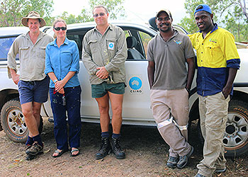 Preparing for cassowary field research with CSIRO
